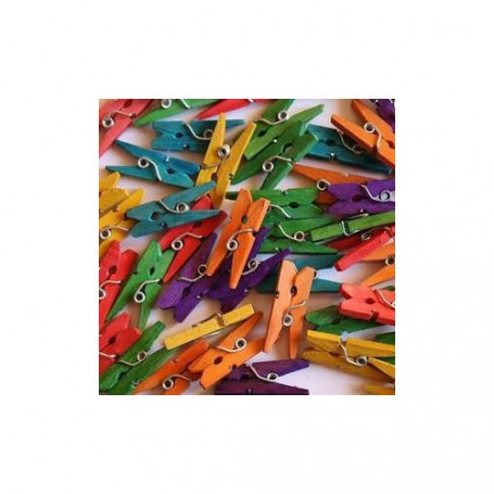 Lot de 20 mini pinces à bois